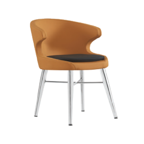 Dinning Chairs